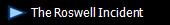  The Roswell Incident