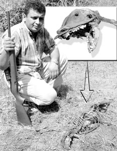 Farmer Jorge Luis Talavera stands near the dead Chupacabras corpse