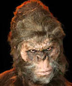 A fancy dress costume - similar to the hoaxed Bigfoot